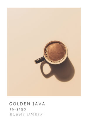 Golden Java plakat