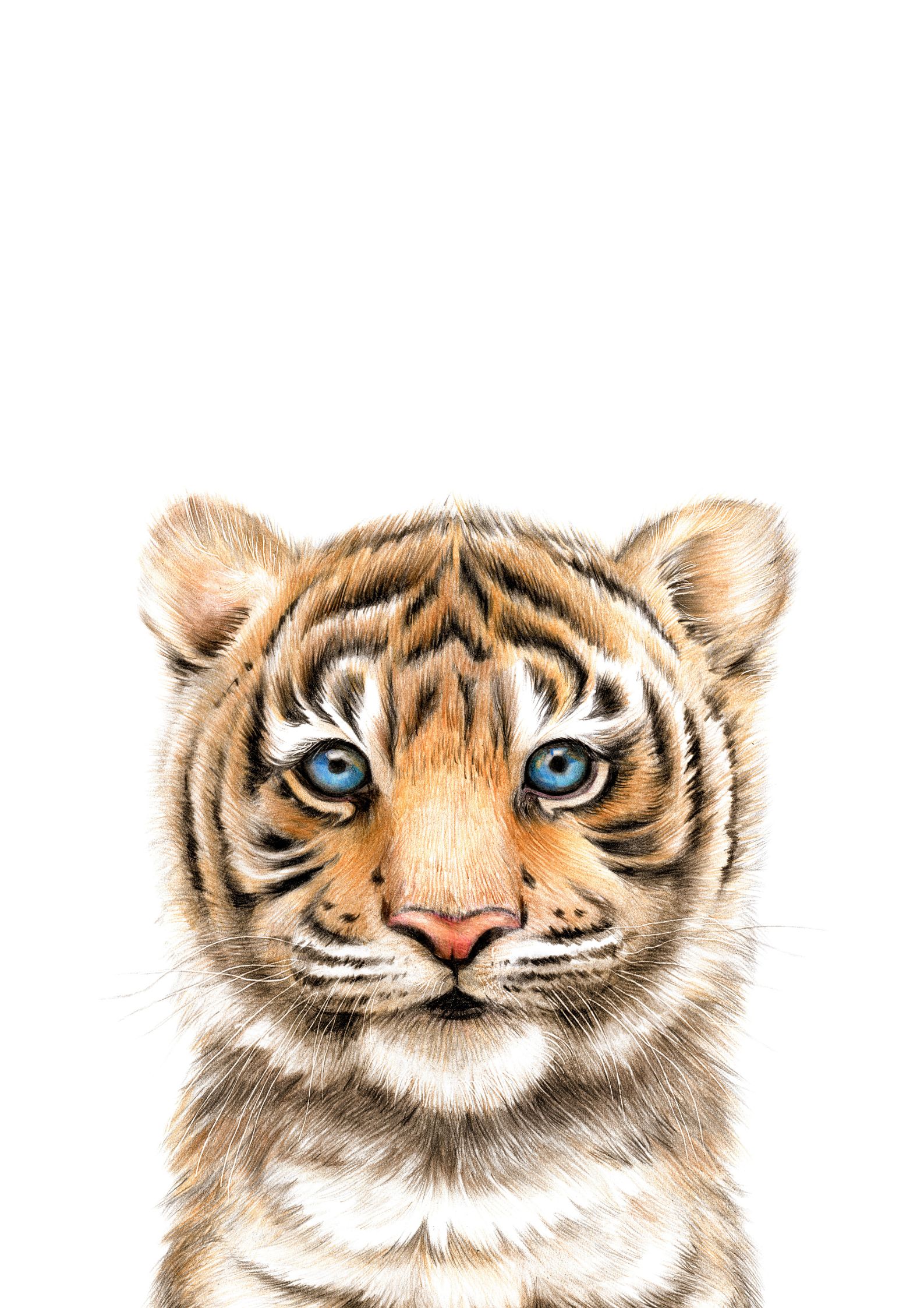 Tigerunge plakat