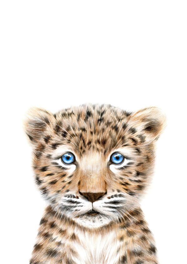 Leopard unge plakat