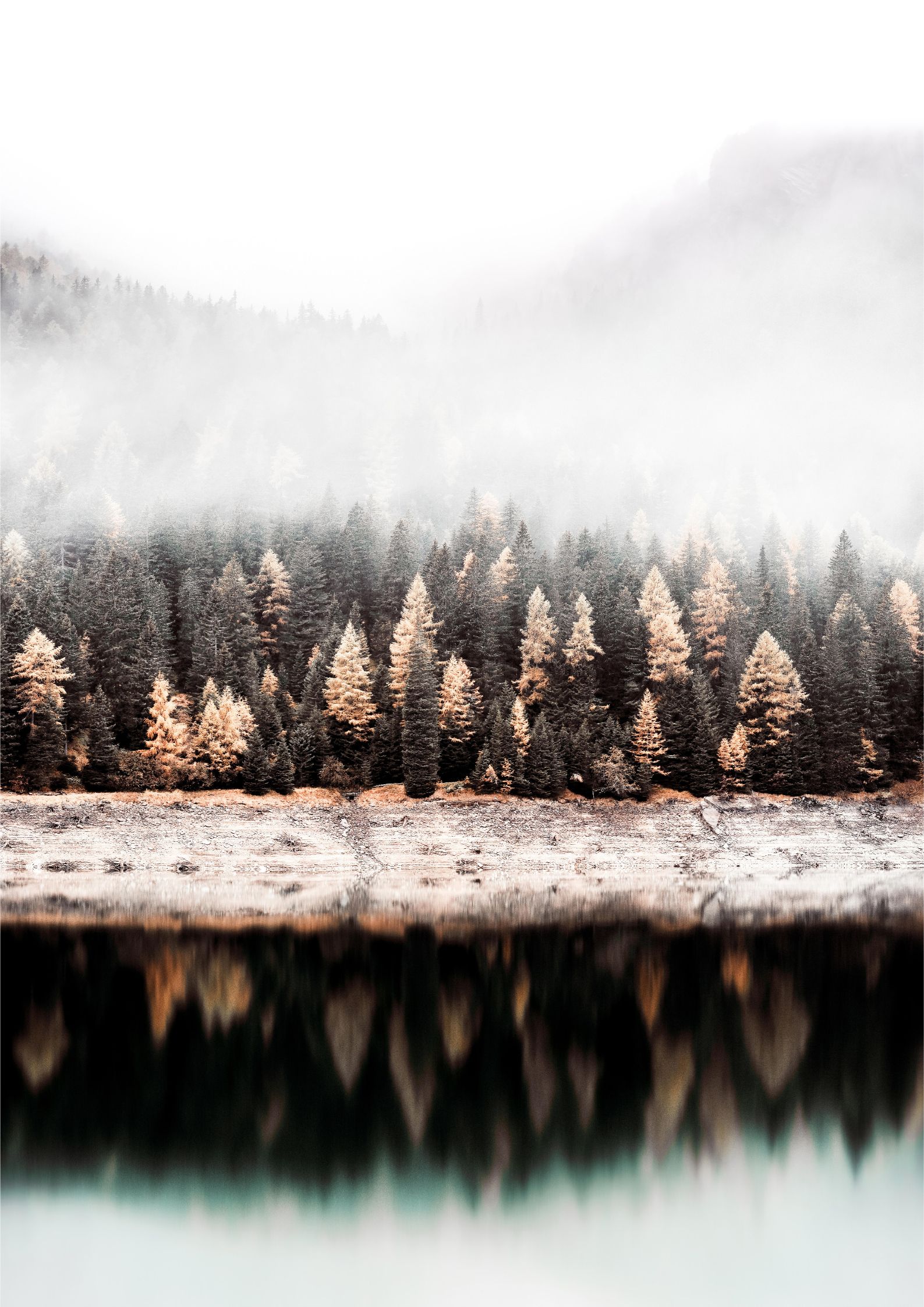 Design uden navn (91)