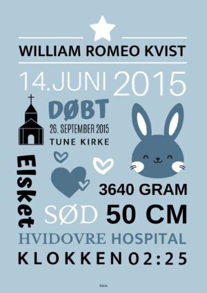Fødselstavle Blå kanin