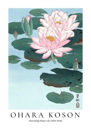 Ohara Koson Water Lily