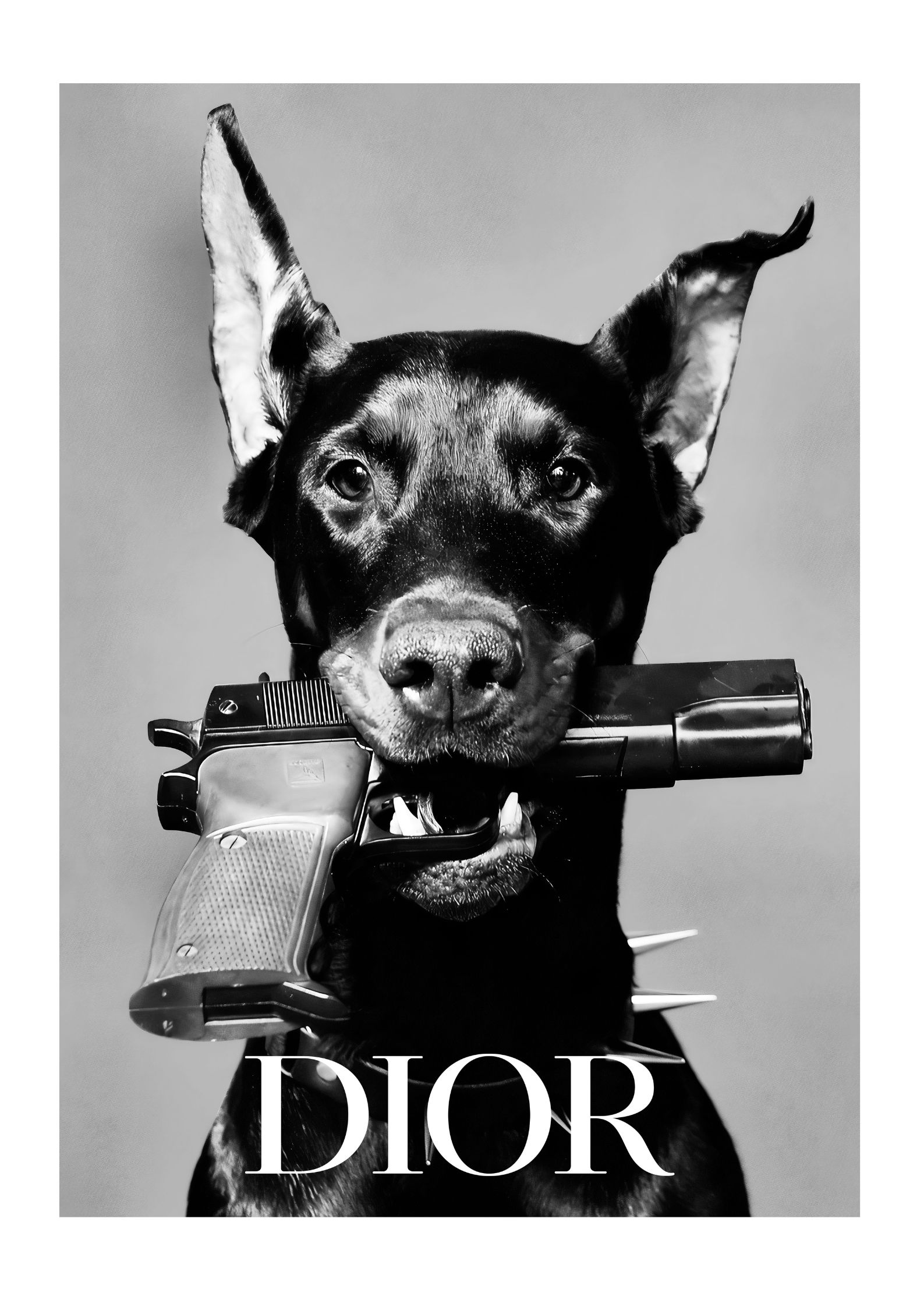 Design uden navn - 2022-11-01T144124.351 Dior plakat