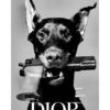 Kopi af Dior Dog