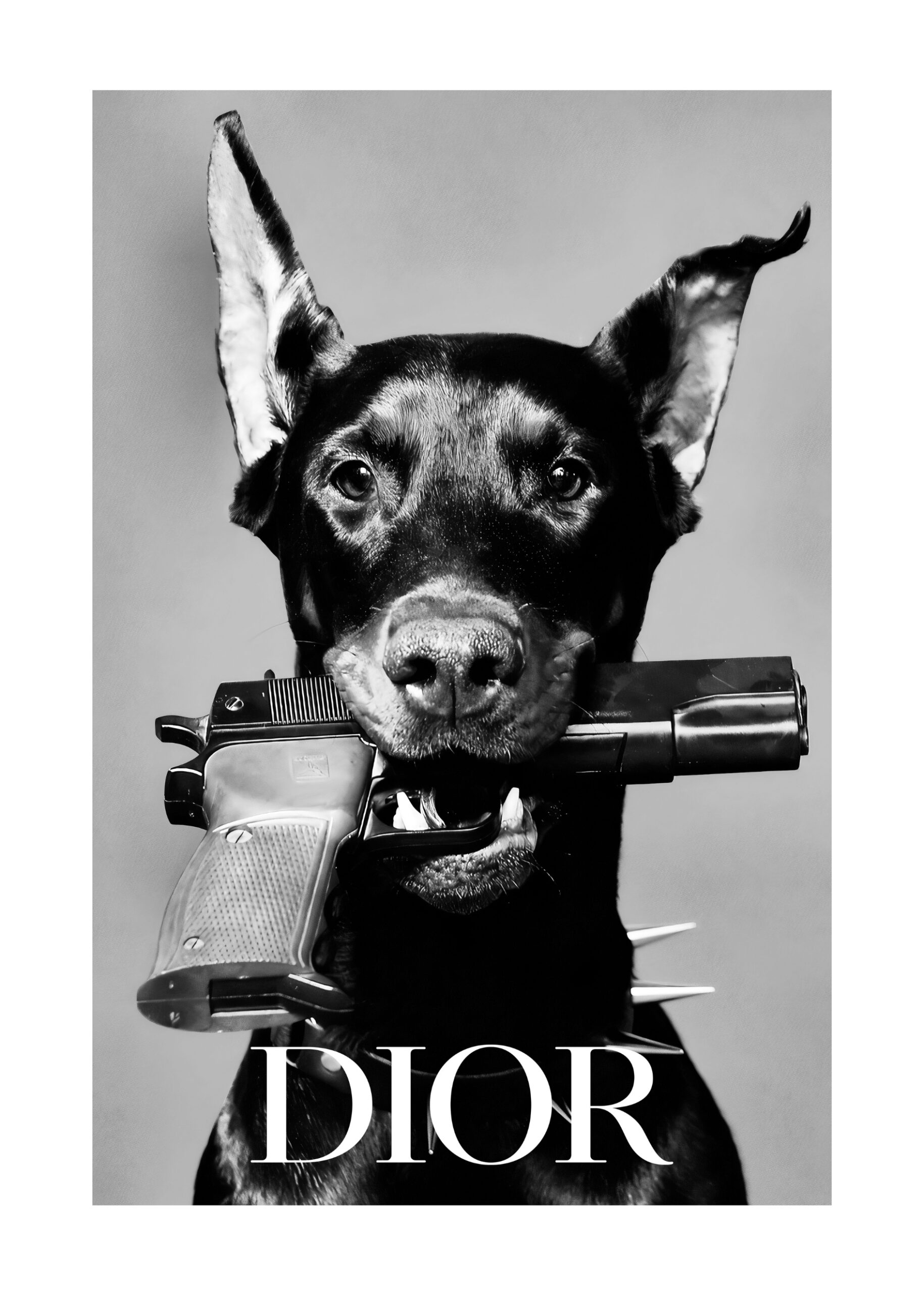 Kopi af Dior Dog
