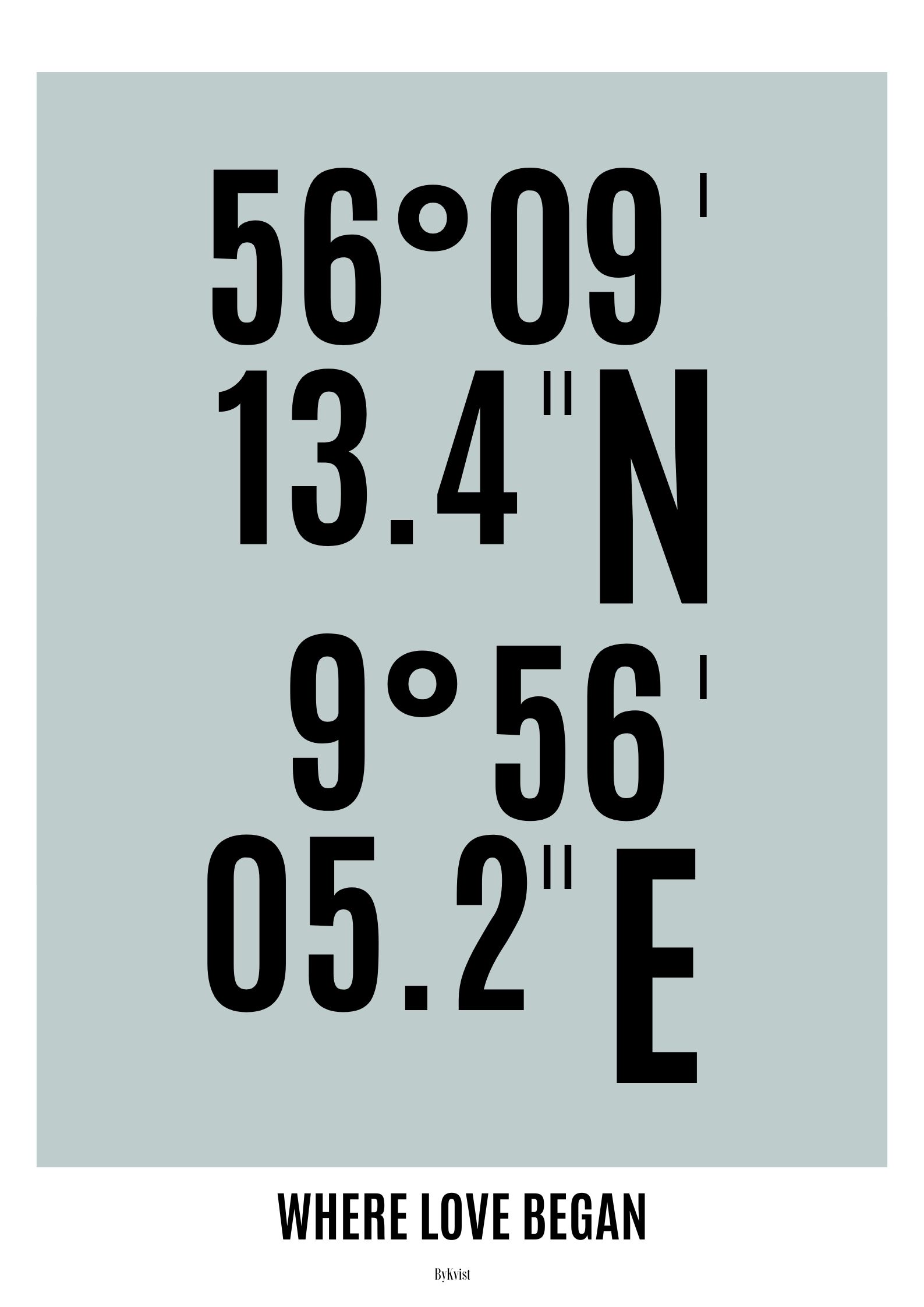 Love 1 Koordinat plakat