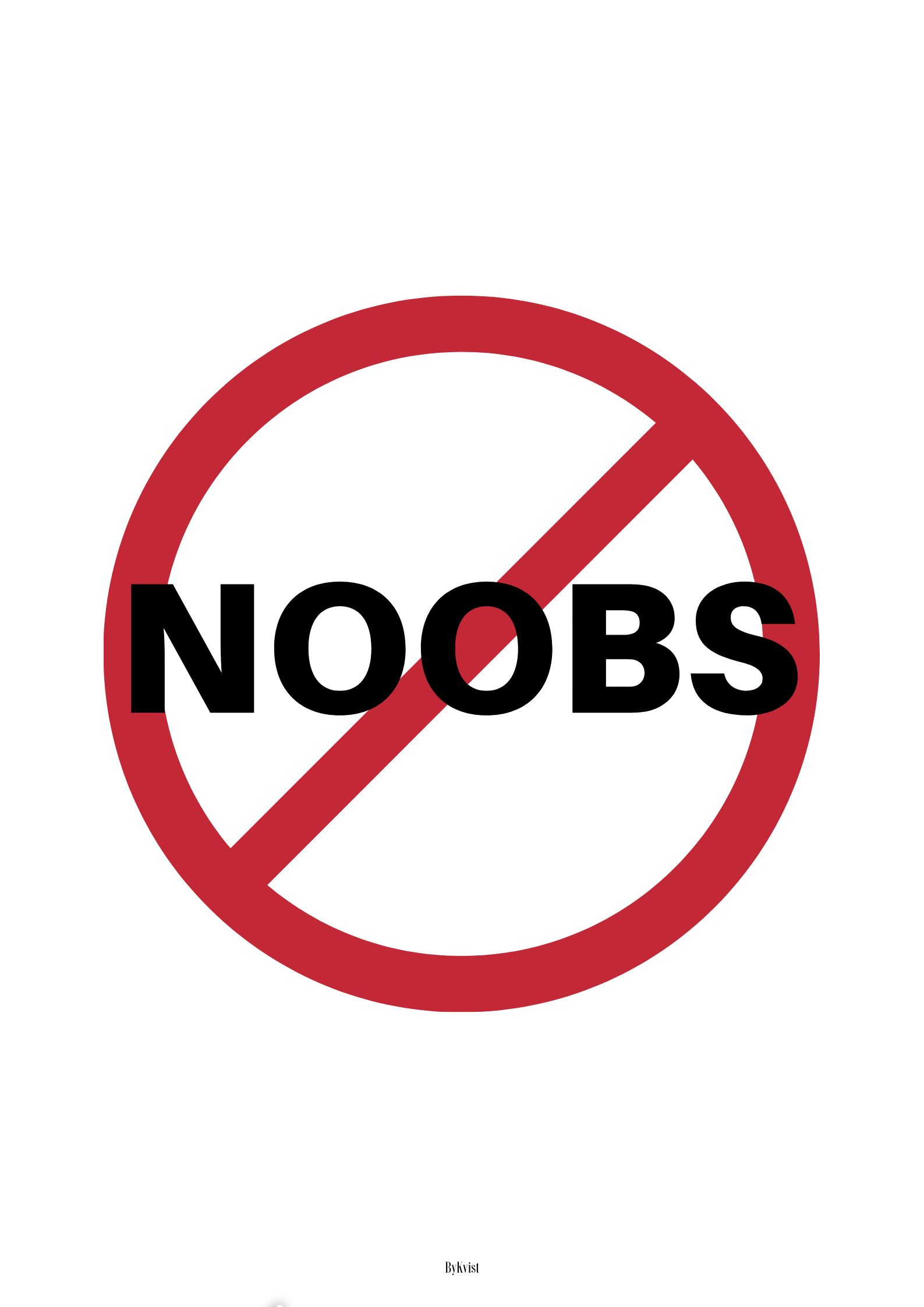 Noobs Gamerplakat
