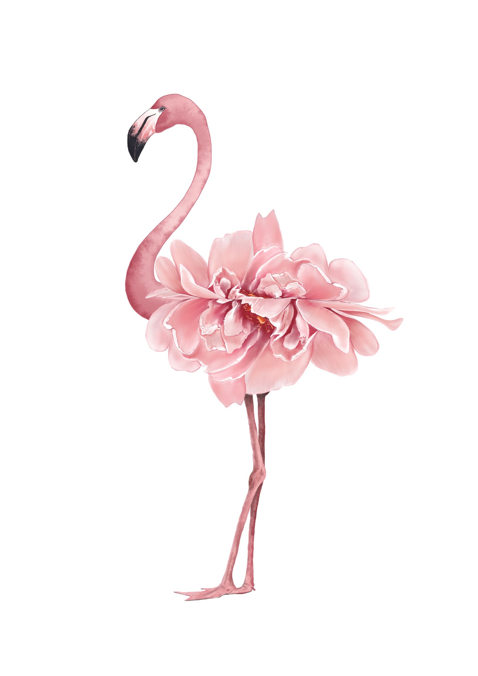 Flamingo plakat