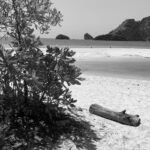 Fotoplakat eget foto