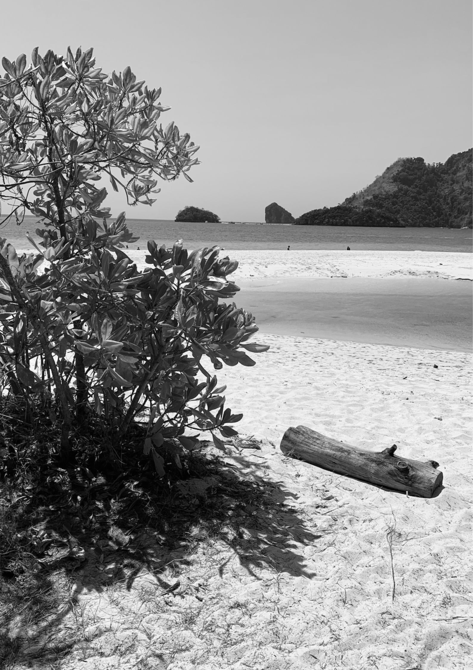 Fotoplakat eget foto