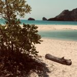 Fotoplakat eget foto