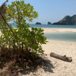 Fotoplakat eget foto