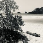 Fotoplakat eget billede