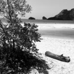 fotoplakat eget foto