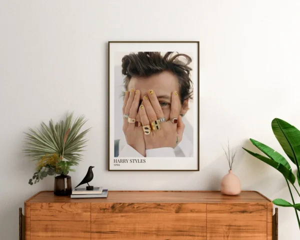 Harry Styles plakater