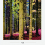 Anneberg plakat