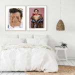 Harry styles plakater