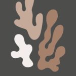 Kopi af Kopi af Kopi af Papiers découpés Matisse poster