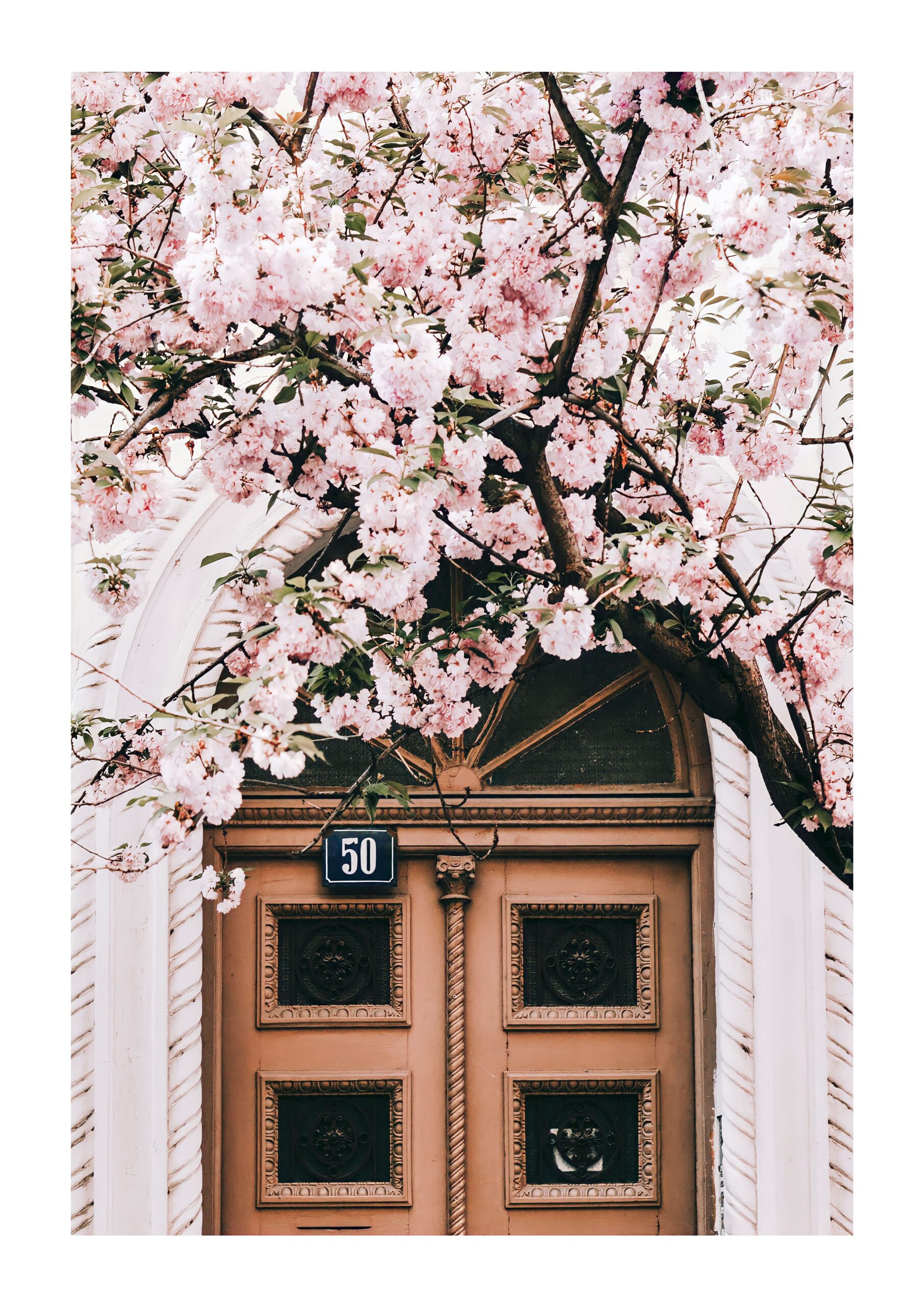 Kirsebærtræ plakat