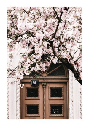 Spring in Paris