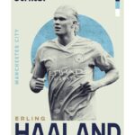 Haaland Plakat