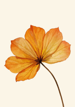 Fall flower plakat