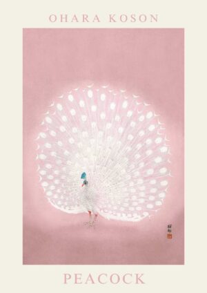 Ohara - Peacock pink