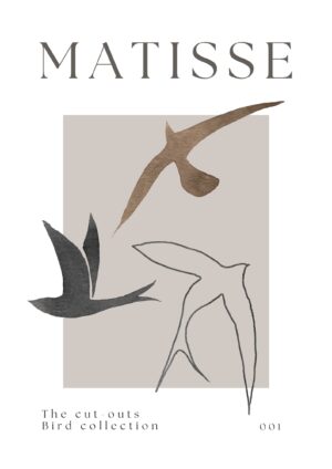 Bird Collection plakat