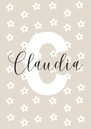 Navne plakat Daisies