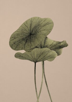 Lotus Leaves beige Plakat