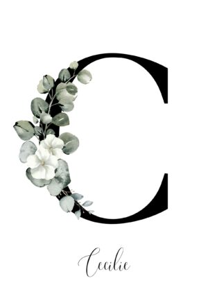 Bogstav blomst Eukalyptus