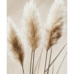 Wild pampas No1 A2
