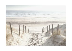 Beach Path plakat
