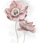 Dream flower A2 (1)