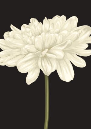 Flower wall art No3 plakat