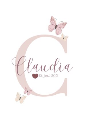 Navne plakat Butterflies