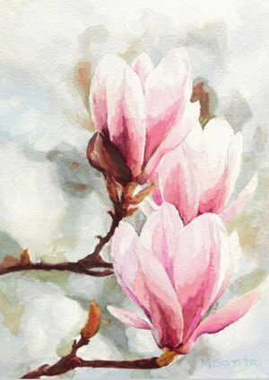 Magnolia kunstplakat
