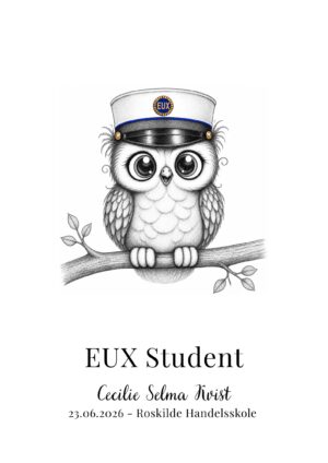 Studenterplakat UGLE EUX business