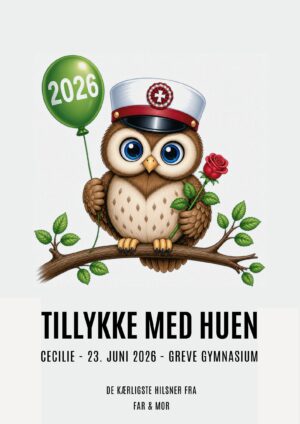 Tillykke med huen STX plakat