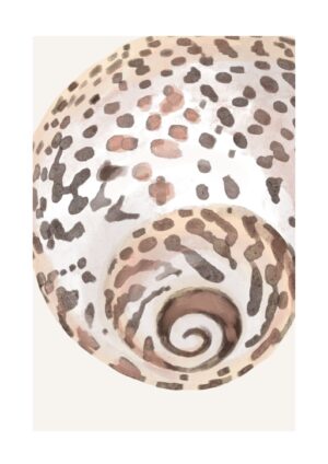 Abstract Seashell plakat