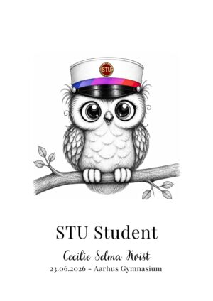 Studenterplakat UGLE STU
