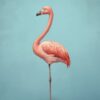 Vintage Flamingo A2