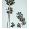 Los Angeles A2