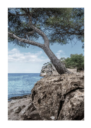 Mallorca No3 plakat