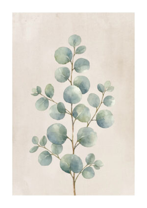 Eukalyptus No7