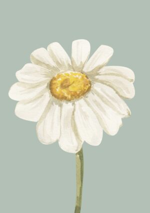 Une marguerite plakat