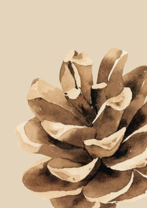 Cone beige Plakat