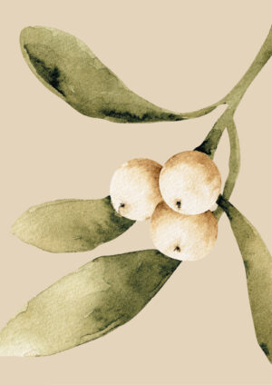 Mistletoe Plakat